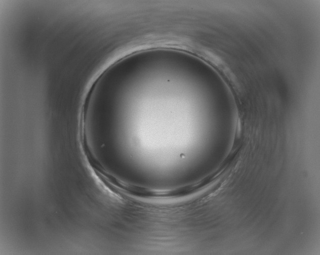 X0000073871520200608101456