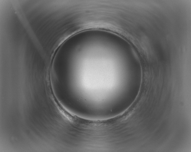 X0000073871521200608101456