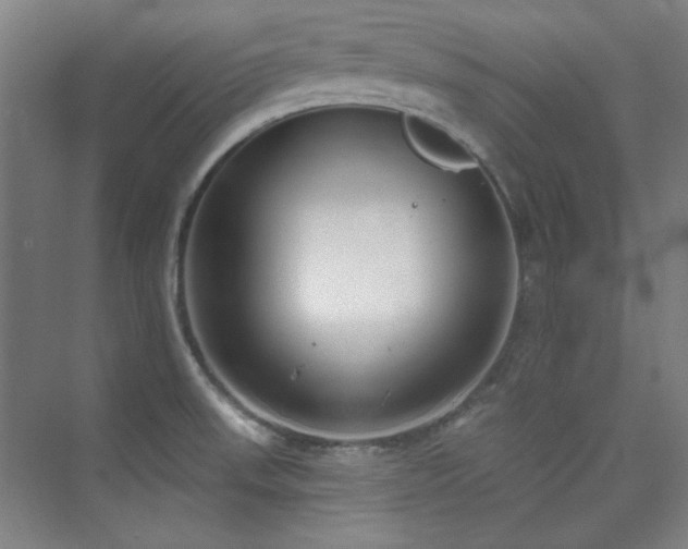 X0000073871523200608101456