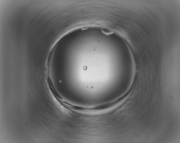 X0000073871524200608101456