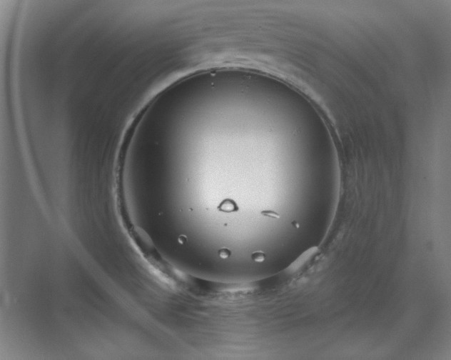 X0000073871525200608101456