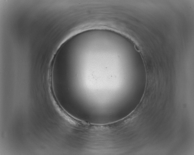 X0000073871526200608101456