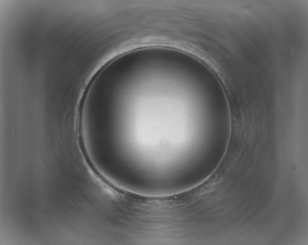 X0000073871527200608101456