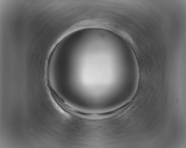 X0000073871528200608101456