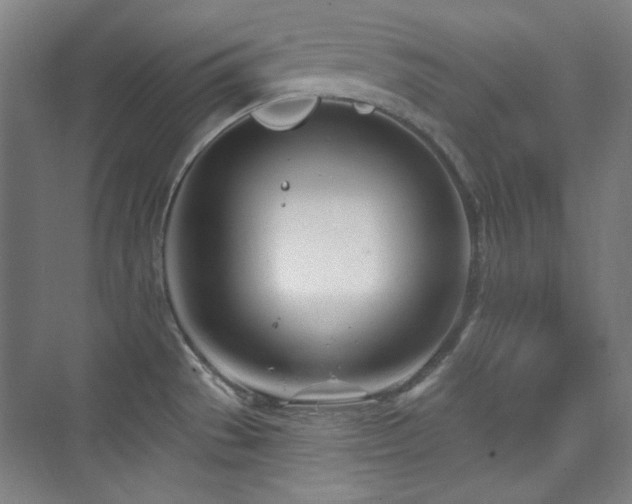 X0000073871529200608101456