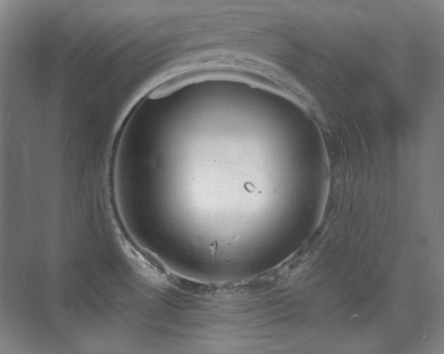 X0000073871530200608101456