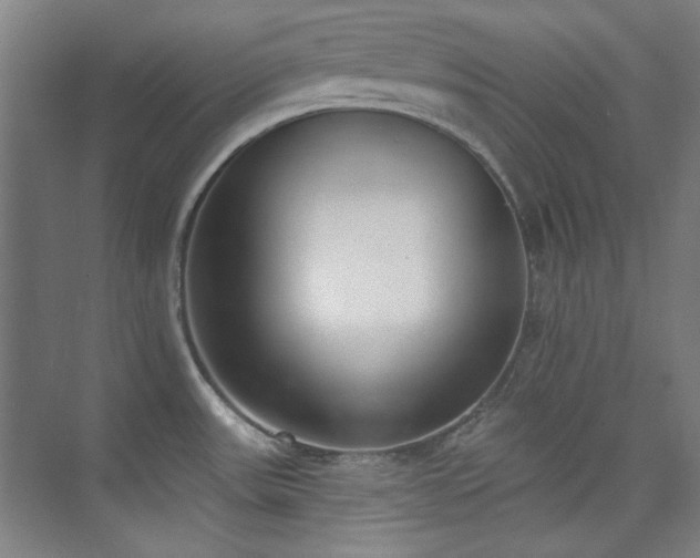 X0000073871531200608101456