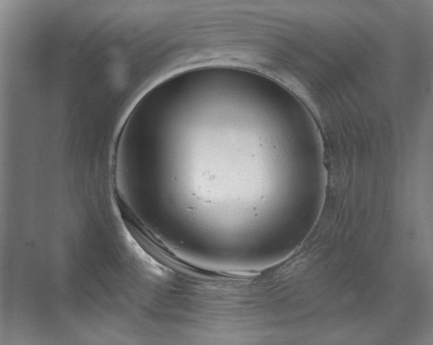 X0000073871532200608101456