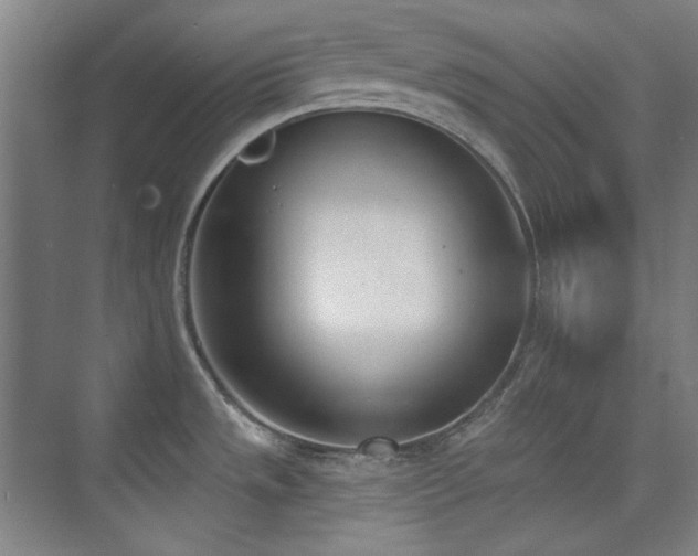 X0000073871533200608101456