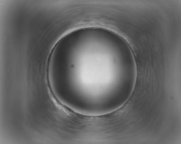 X0000073871534200608101456