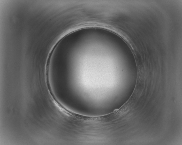 X0000073871535200608101456