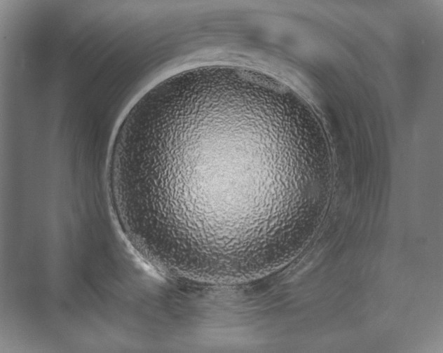 X0000073871536200608101456