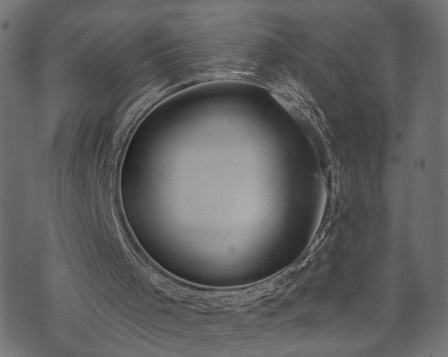 X0000073870001200608171019