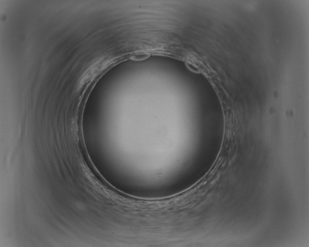 X0000073870002200608171019