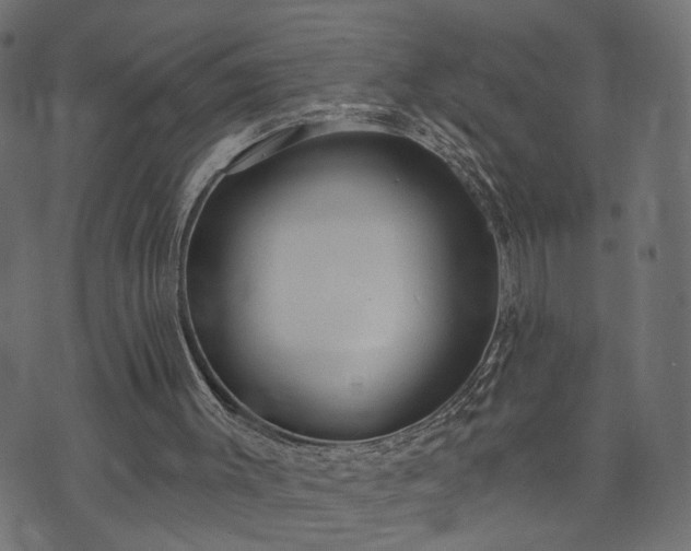 X0000073870003200608171019