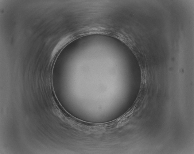 X0000073870004200608171019