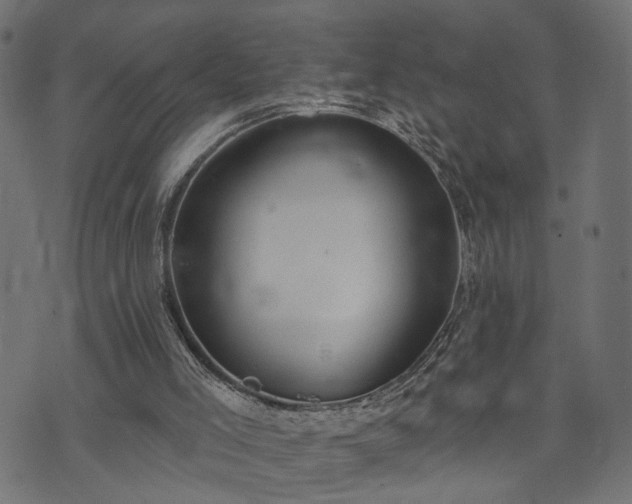 X0000073870005200608171019