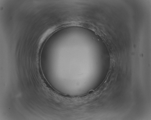 X0000073870006200608171019