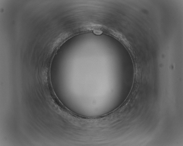 X0000073870010200608171019