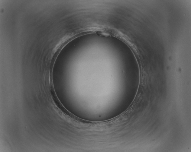 X0000073870011200608171019