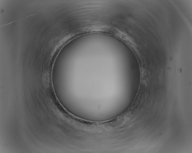 X0000073870012200608171019