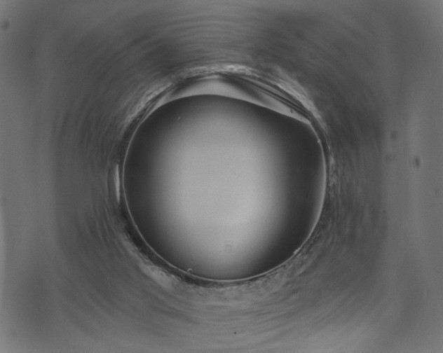 X0000073870013200608171019