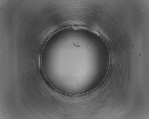 X0000073870014200608171019