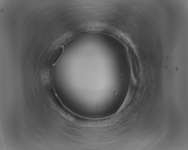 X0000073870017200608171019