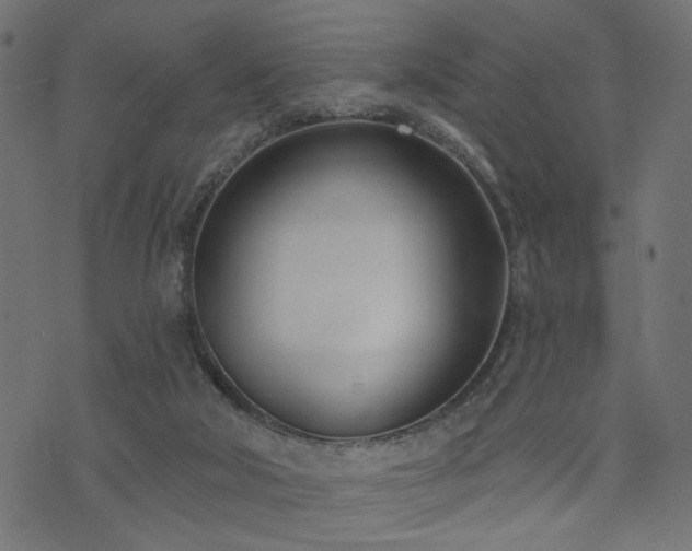 X0000073870018200608171019