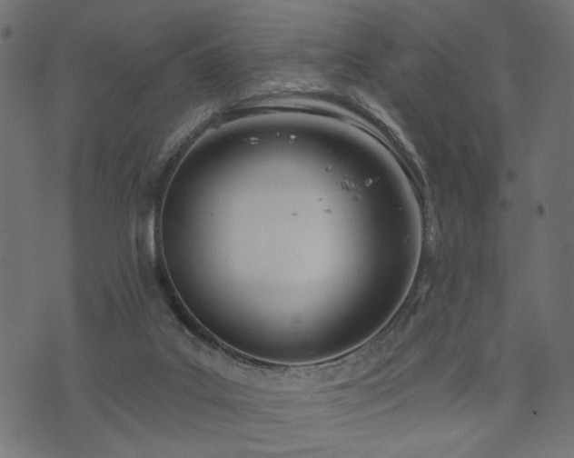 X0000073870019200608171019