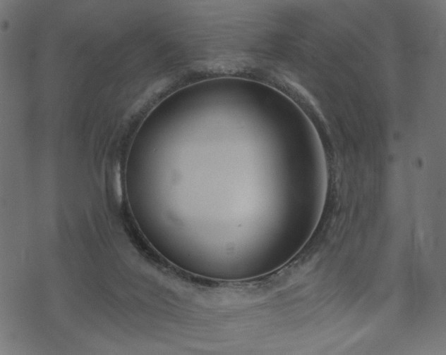 X0000073870020200608171019