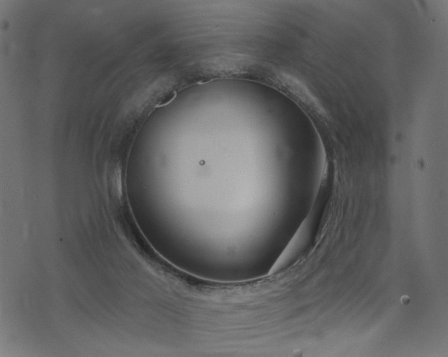 X0000073870021200608171019