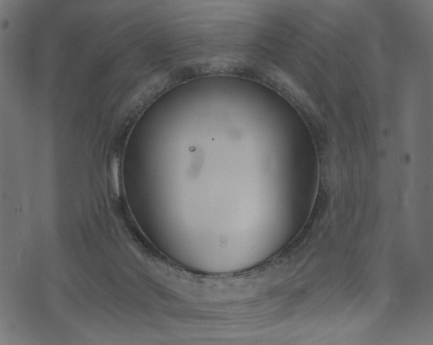 X0000073870022200608171019