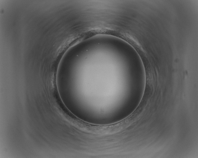 X0000073870023200608171019