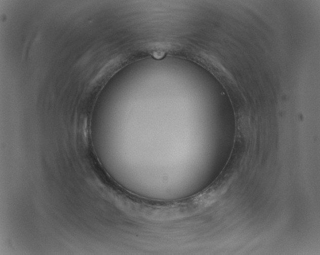 X0000073870024200608171019