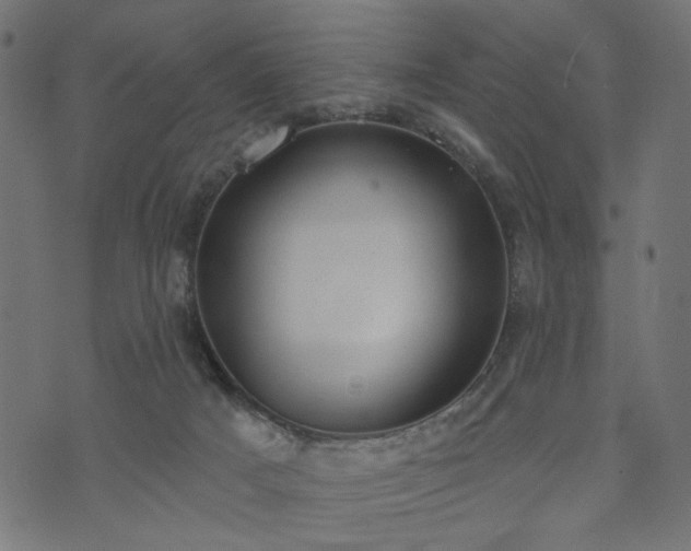 X0000073870025200608171019