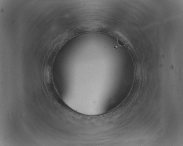 X0000073870026200608171019