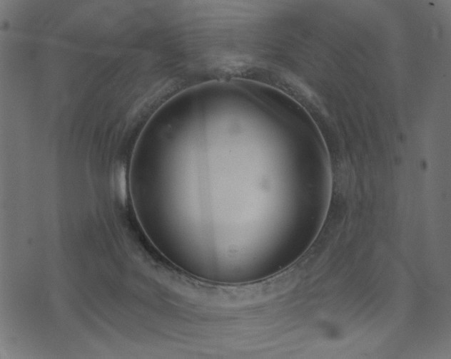 X0000073870027200608171019