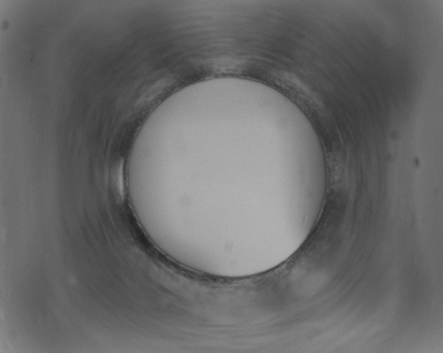 X0000073870028200608171019