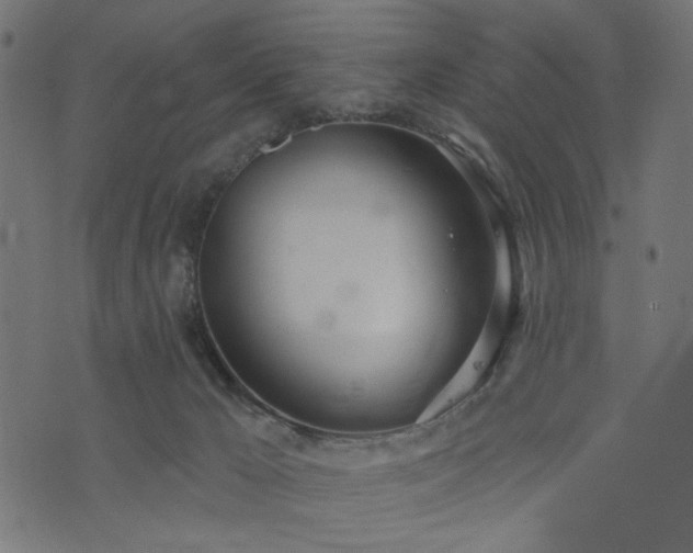 X0000073870029200608171019