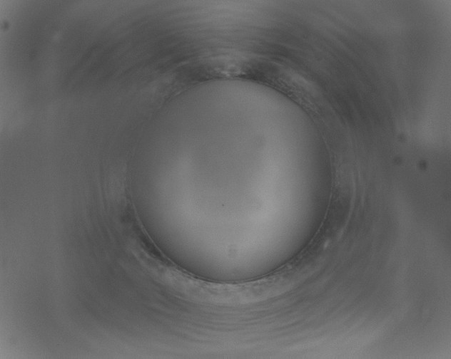 X0000073870030200608171019