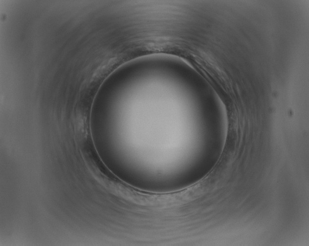 X0000073870031200608171019