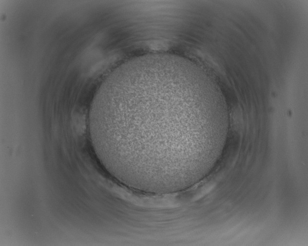 X0000073870032200608171019