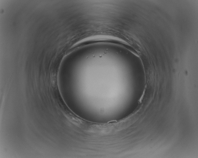 X0000073870033200608171019