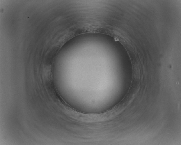 X0000073870034200608171019