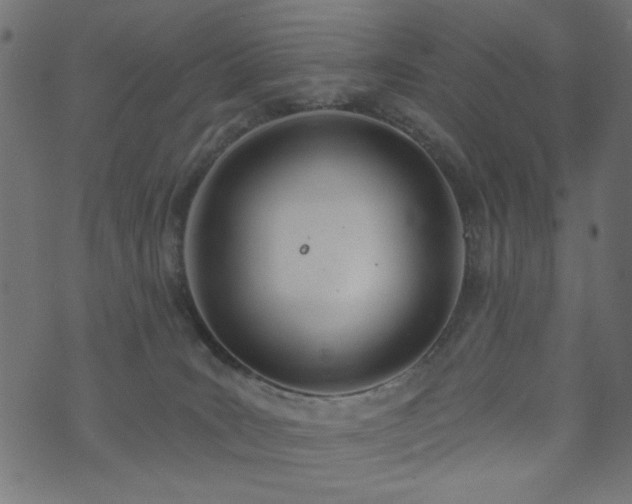 X0000073870035200608171018