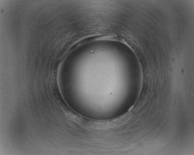 X0000073870037200608171018