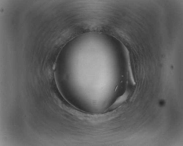 X0000073870039200608171018