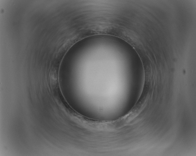 X0000073870040200608171018