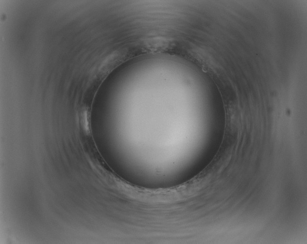 X0000073870042200608171018